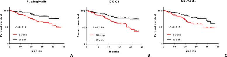 https://cdn.ncbi.nlm.nih.gov/pmc/blobs/fca1/11055382/f95e6e225bc8/12885_2024_12300_Fig7_HTML.jpg