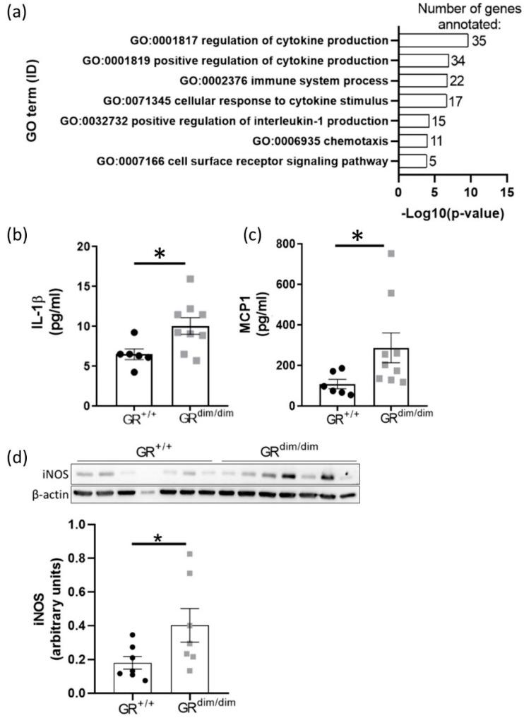 https://cdn.ncbi.nlm.nih.gov/pmc/blobs/fca1/8750862/00a8a60f5251/cells-11-00112-g004.jpg