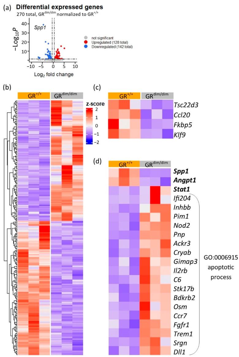 https://cdn.ncbi.nlm.nih.gov/pmc/blobs/fca1/8750862/e1013730400a/cells-11-00112-g002.jpg