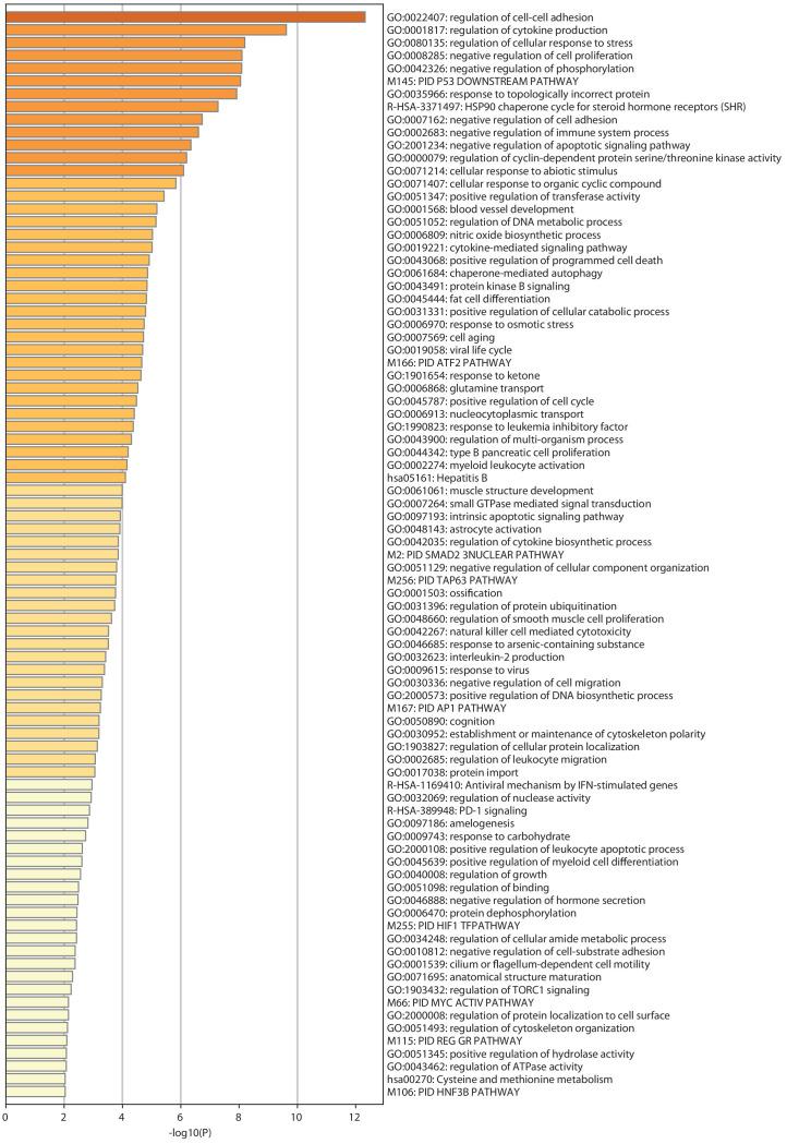 https://cdn.ncbi.nlm.nih.gov/pmc/blobs/fca4/7870135/0422ed31779a/elife-60095-fig4-figsupp1.jpg