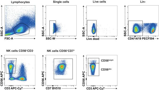 https://cdn.ncbi.nlm.nih.gov/pmc/blobs/fca4/7870135/58469f261a45/elife-60095-fig1-figsupp2.jpg
