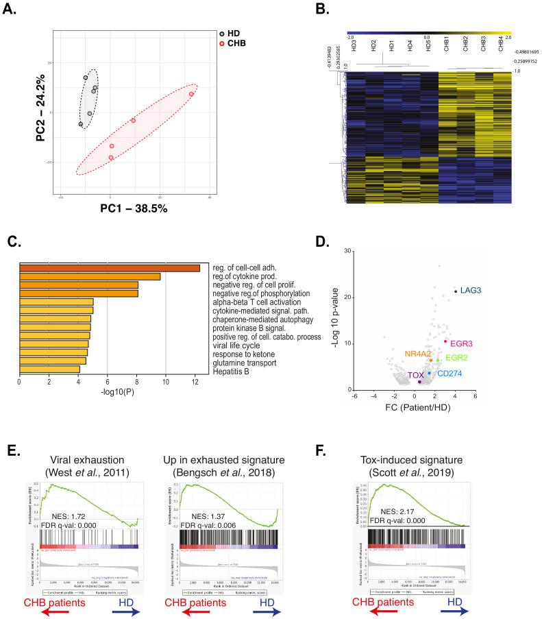 https://cdn.ncbi.nlm.nih.gov/pmc/blobs/fca4/7870135/af53891b8837/elife-60095-fig4.jpg