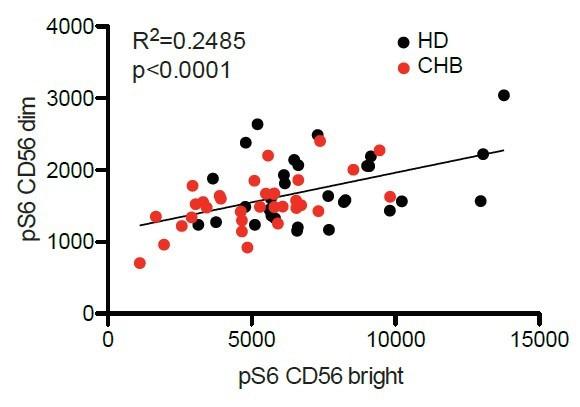 https://cdn.ncbi.nlm.nih.gov/pmc/blobs/fca4/7870135/f0c99beb6ba1/elife-60095-resp-fig3.jpg