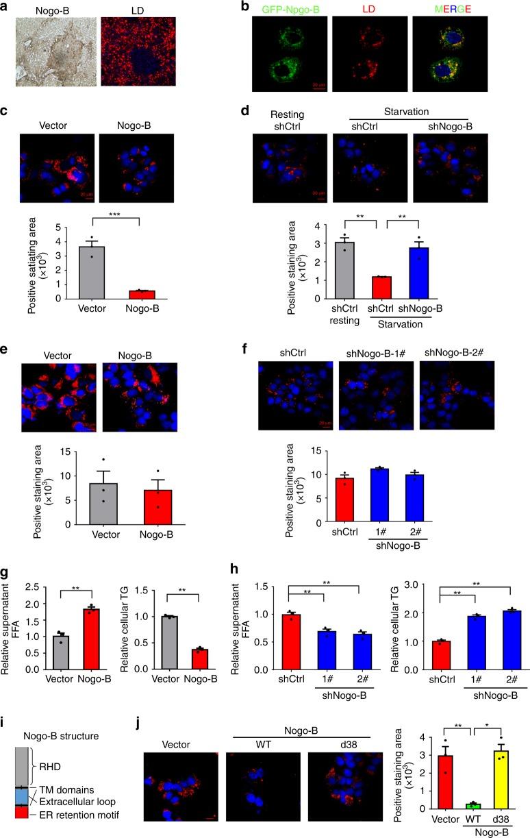 https://cdn.ncbi.nlm.nih.gov/pmc/blobs/fca5/6662851/1228474a531a/41467_2019_11274_Fig4_HTML.jpg