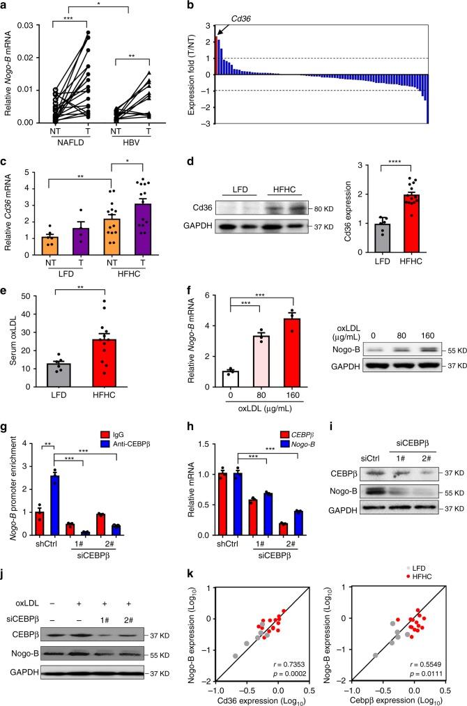 https://cdn.ncbi.nlm.nih.gov/pmc/blobs/fca5/6662851/88cc3a109194/41467_2019_11274_Fig2_HTML.jpg