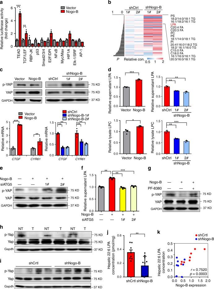 https://cdn.ncbi.nlm.nih.gov/pmc/blobs/fca5/6662851/e64c741e7d1a/41467_2019_11274_Fig6_HTML.jpg