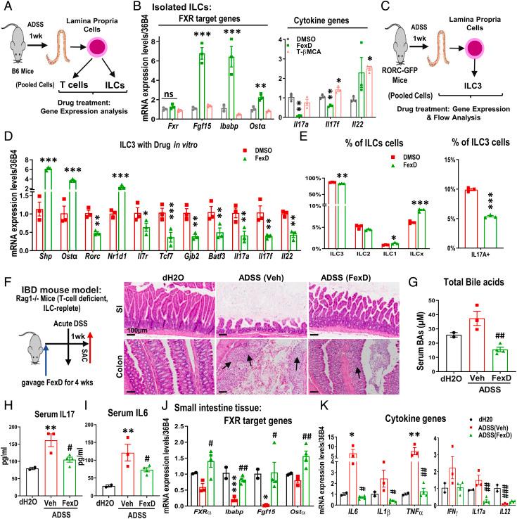 https://cdn.ncbi.nlm.nih.gov/pmc/blobs/fca5/9907109/53f1c1cfd8f5/pnas.2213041119fig02.jpg