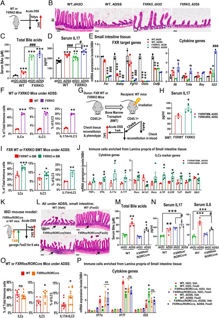 https://cdn.ncbi.nlm.nih.gov/pmc/blobs/fca5/9907109/7d822aa547e2/pnas.2213041119fig03.jpg