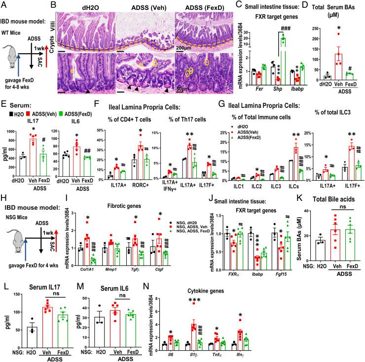 https://cdn.ncbi.nlm.nih.gov/pmc/blobs/fca5/9907109/e786e497aeb8/pnas.2213041119fig01.jpg