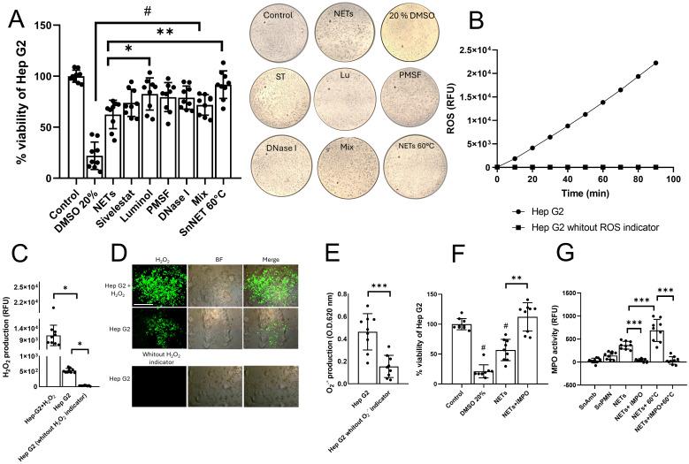 https://cdn.ncbi.nlm.nih.gov/pmc/blobs/fca6/11646992/2b9e7870edab/fimmu-15-1493946-g005.jpg