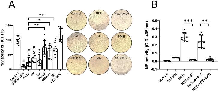 https://cdn.ncbi.nlm.nih.gov/pmc/blobs/fca6/11646992/c96b0dac03a6/fimmu-15-1493946-g004.jpg