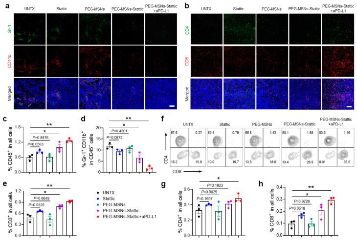 https://cdn.ncbi.nlm.nih.gov/pmc/blobs/fca7/11173511/e962aca727ac/molecules-29-02436-g004.jpg