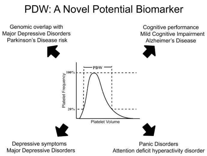 https://cdn.ncbi.nlm.nih.gov/pmc/blobs/fca7/7700239/ecd9d9177085/ijms-21-08817-g002.jpg