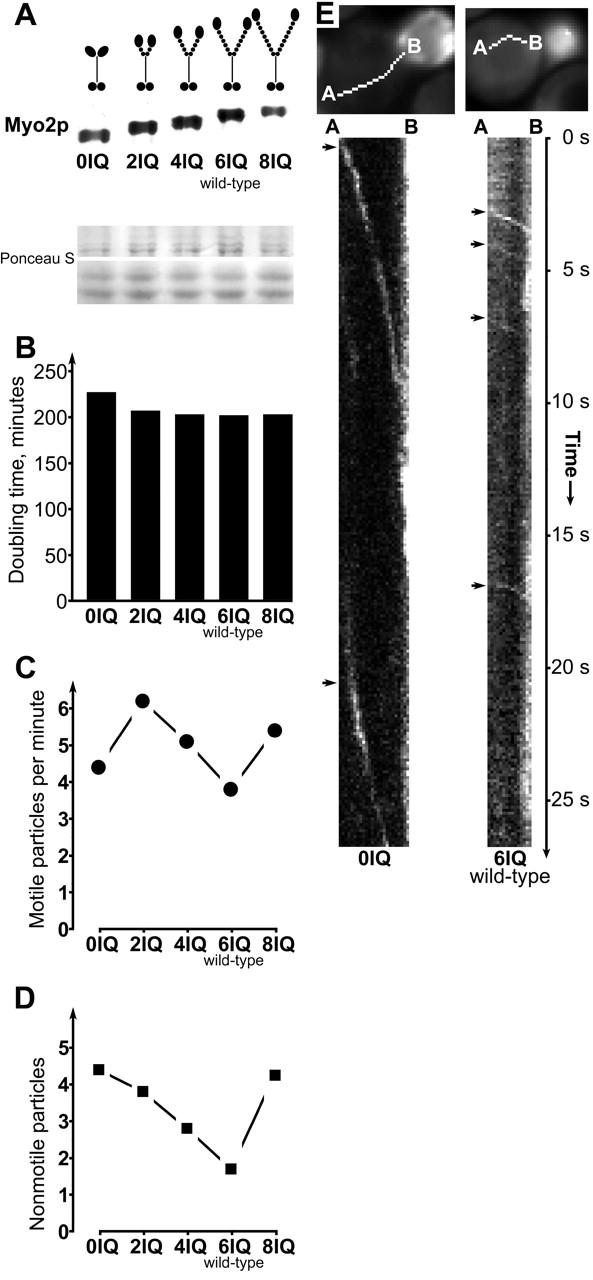 https://cdn.ncbi.nlm.nih.gov/pmc/blobs/fca9/2173574/4c02c1e05f4f/0110086f4.jpg