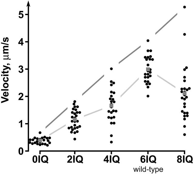 https://cdn.ncbi.nlm.nih.gov/pmc/blobs/fca9/2173574/8445bddbde4b/0110086f5.jpg