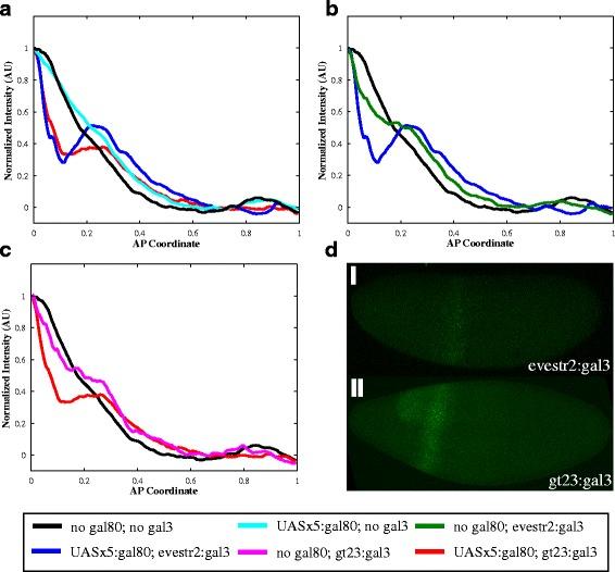 https://cdn.ncbi.nlm.nih.gov/pmc/blobs/fca9/5006508/449c969e7974/12918_2016_330_Fig4_HTML.jpg