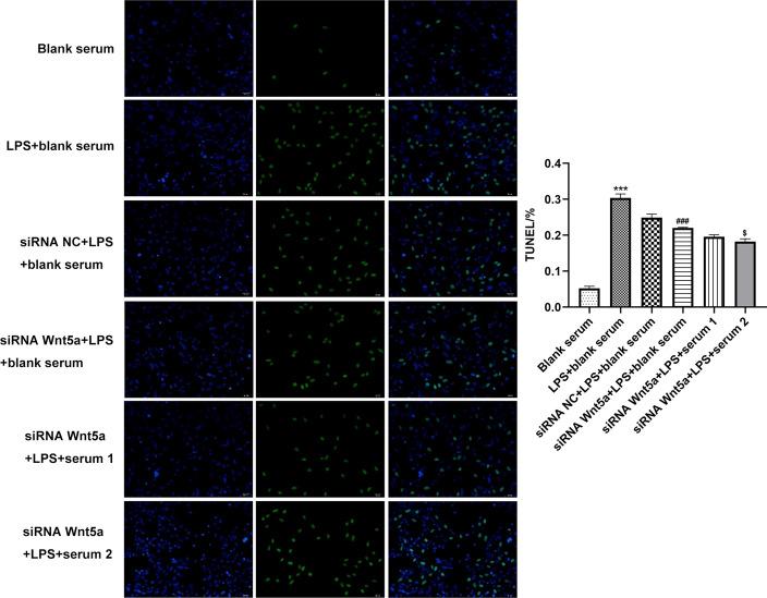 https://cdn.ncbi.nlm.nih.gov/pmc/blobs/fcab/8513287/07a594510162/12938_2021_939_Fig10_HTML.jpg