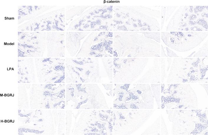 https://cdn.ncbi.nlm.nih.gov/pmc/blobs/fcab/8513287/7a3e19cc22fe/12938_2021_939_Fig4_HTML.jpg