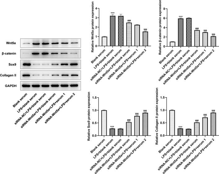 https://cdn.ncbi.nlm.nih.gov/pmc/blobs/fcab/8513287/9246d61f88fc/12938_2021_939_Fig11_HTML.jpg