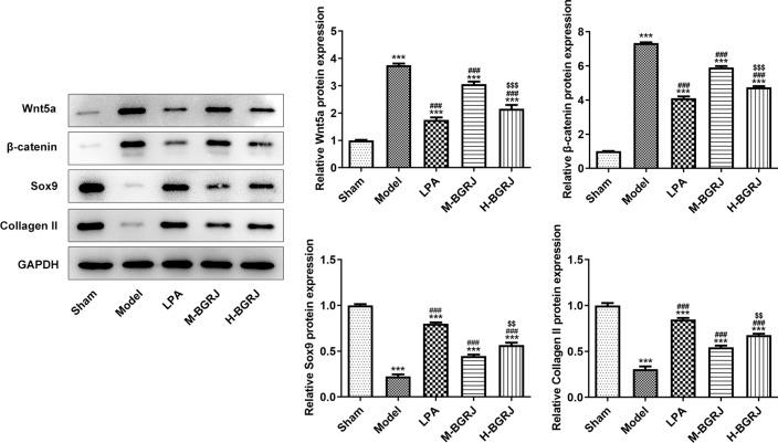 https://cdn.ncbi.nlm.nih.gov/pmc/blobs/fcab/8513287/e279cf6bf251/12938_2021_939_Fig7_HTML.jpg
