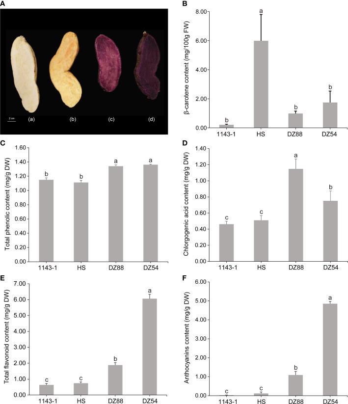 https://cdn.ncbi.nlm.nih.gov/pmc/blobs/fcad/9951203/bafe1486350f/fpls-14-1030236-g001.jpg