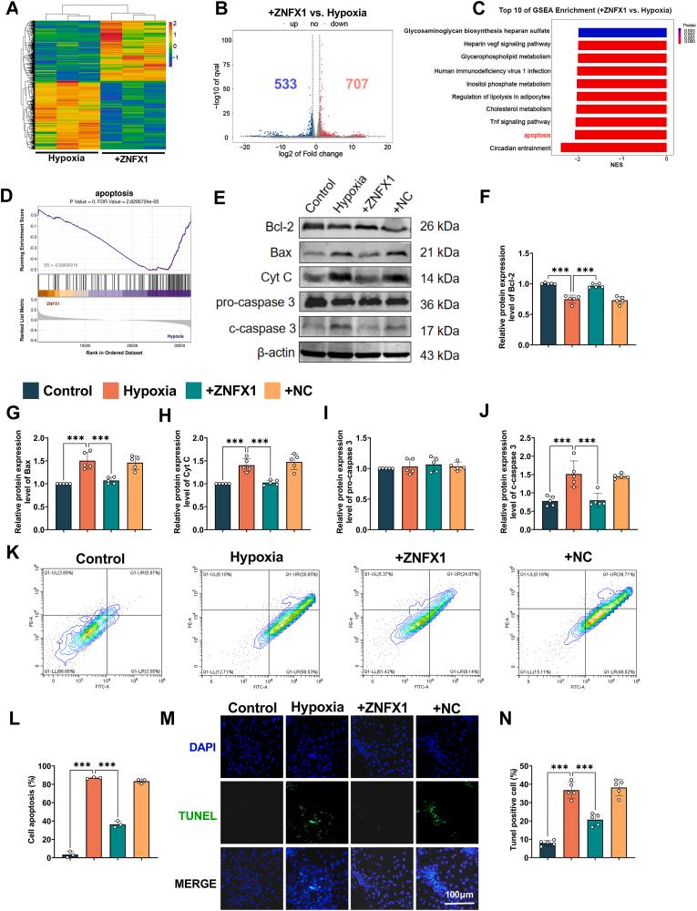 https://cdn.ncbi.nlm.nih.gov/pmc/blobs/fcaf/12182381/22ac8321bd90/gr5.jpg