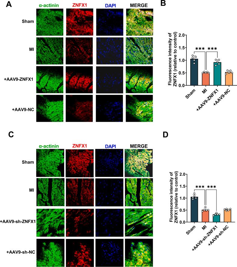 https://cdn.ncbi.nlm.nih.gov/pmc/blobs/fcaf/12182381/46d5815ea9d5/mmcfigs2.jpg