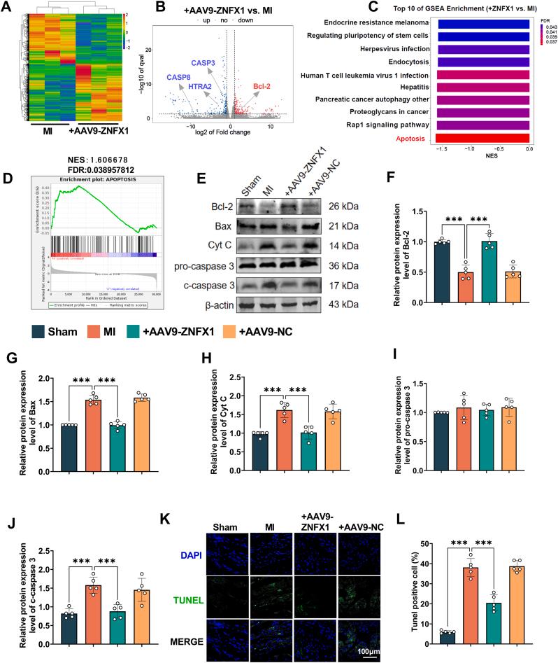 https://cdn.ncbi.nlm.nih.gov/pmc/blobs/fcaf/12182381/a2cdadbd73a0/gr4.jpg