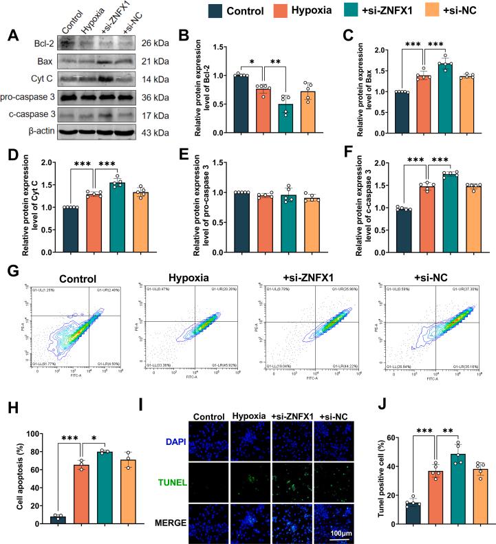 https://cdn.ncbi.nlm.nih.gov/pmc/blobs/fcaf/12182381/a2db3370dd25/mmcfigs5.jpg