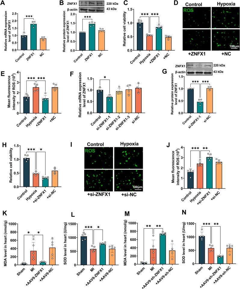 https://cdn.ncbi.nlm.nih.gov/pmc/blobs/fcaf/12182381/b4a51ea81736/gr3.jpg