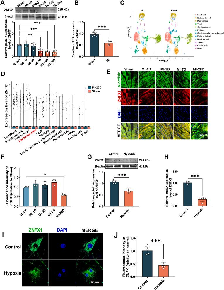 https://cdn.ncbi.nlm.nih.gov/pmc/blobs/fcaf/12182381/cc5ef86b4b7b/gr1.jpg