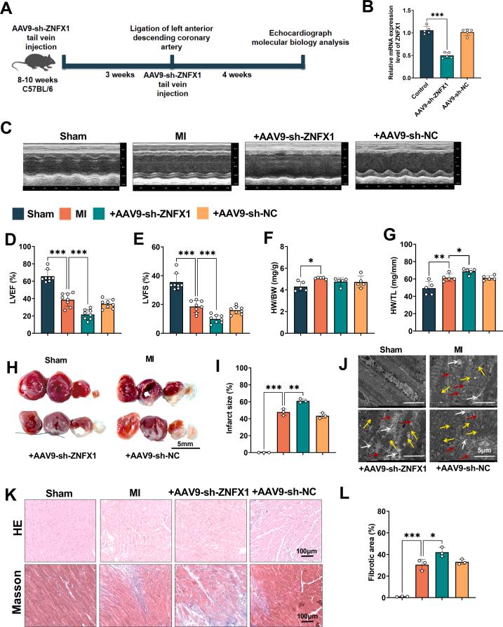https://cdn.ncbi.nlm.nih.gov/pmc/blobs/fcaf/12182381/d5080be98e6e/mmcfigs3.jpg
