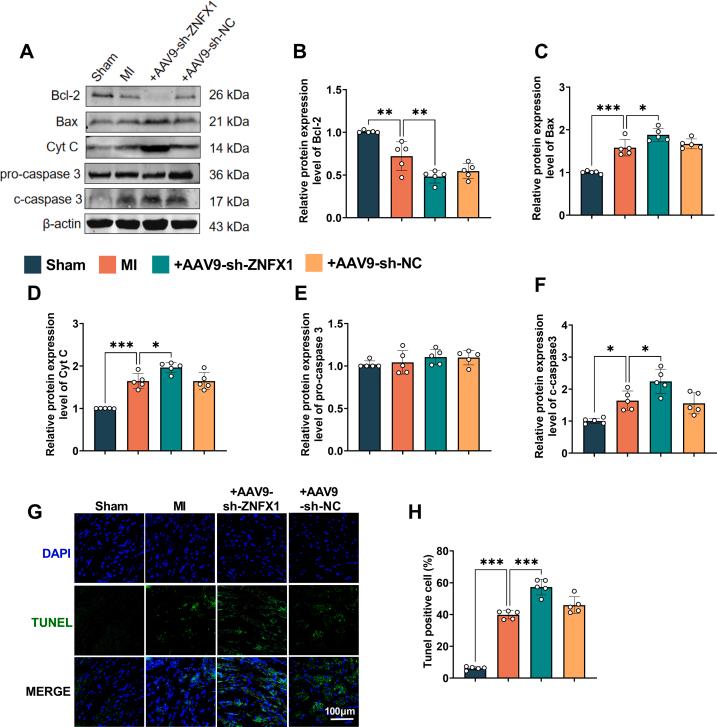 https://cdn.ncbi.nlm.nih.gov/pmc/blobs/fcaf/12182381/f4edd7fc2124/mmcfigs4.jpg