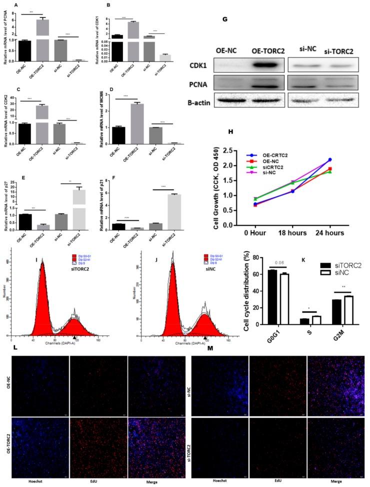 https://cdn.ncbi.nlm.nih.gov/pmc/blobs/fcb0/6769628/4ad7c90e7689/ijms-20-04338-g002.jpg