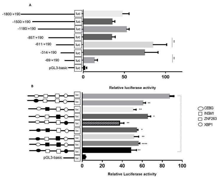 https://cdn.ncbi.nlm.nih.gov/pmc/blobs/fcb0/6769628/7939ae2282f2/ijms-20-04338-g005.jpg