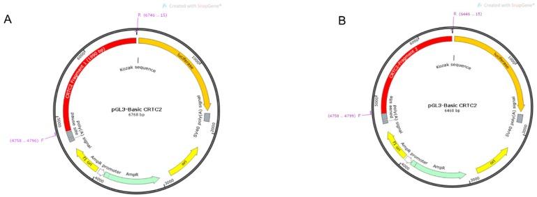 https://cdn.ncbi.nlm.nih.gov/pmc/blobs/fcb0/6769628/c39c0dc21475/ijms-20-04338-g010a.jpg