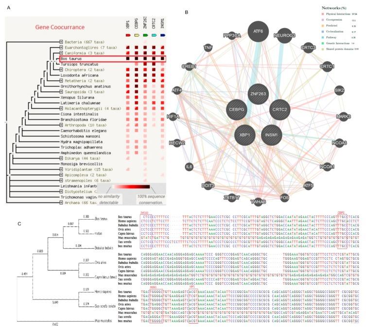 https://cdn.ncbi.nlm.nih.gov/pmc/blobs/fcb0/6769628/c7324b56df52/ijms-20-04338-g006.jpg