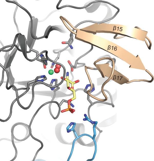 https://cdn.ncbi.nlm.nih.gov/pmc/blobs/fcb0/8970586/24ecf34c78d0/elife-69223-fig3-figsupp5.jpg