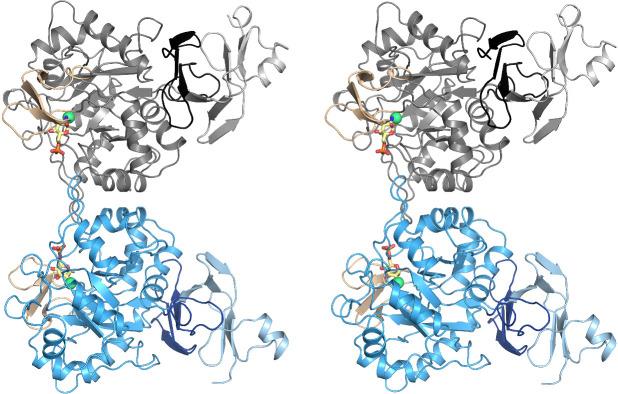 https://cdn.ncbi.nlm.nih.gov/pmc/blobs/fcb0/8970586/9286b652df27/elife-69223-fig3-figsupp1.jpg