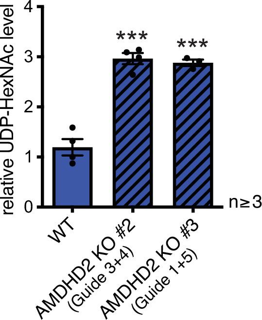 https://cdn.ncbi.nlm.nih.gov/pmc/blobs/fcb0/8970586/f0f5e30fabf8/elife-69223-fig2-figsupp1.jpg