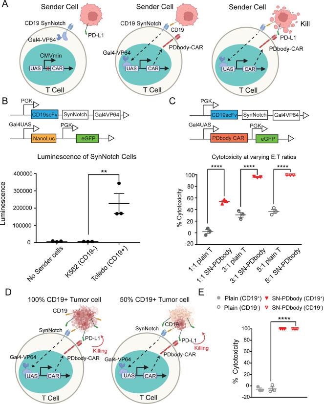 https://cdn.ncbi.nlm.nih.gov/pmc/blobs/fcb1/10958600/e56515c41669/nn4c01597_0004.jpg
