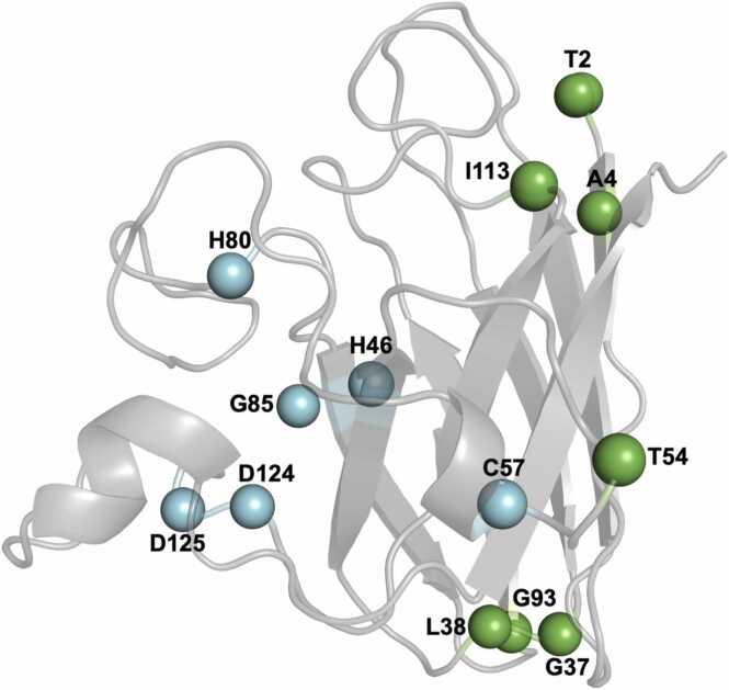 https://cdn.ncbi.nlm.nih.gov/pmc/blobs/fcb2/10637862/e2dc57c4d435/gr1.jpg