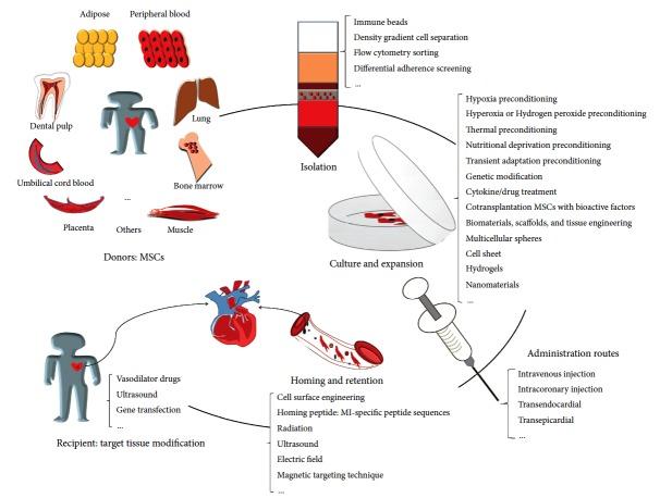 https://cdn.ncbi.nlm.nih.gov/pmc/blobs/fcb2/6286742/add1ecb09ffa/SCI2018-7045245.001.jpg