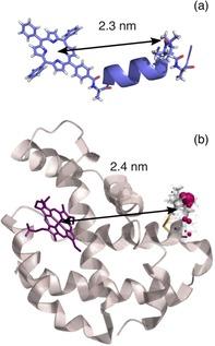 https://cdn.ncbi.nlm.nih.gov/pmc/blobs/fcb2/6618045/06288b2b8364/CPHC-20-931-g001.jpg