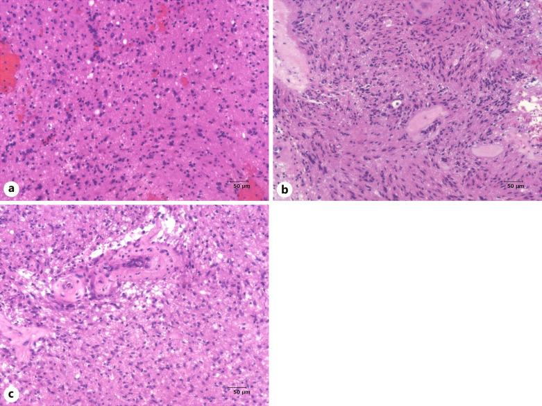 https://cdn.ncbi.nlm.nih.gov/pmc/blobs/fcb3/10803013/e6fe2490bed5/cro-2024-0017-0001-536051_F02.jpg