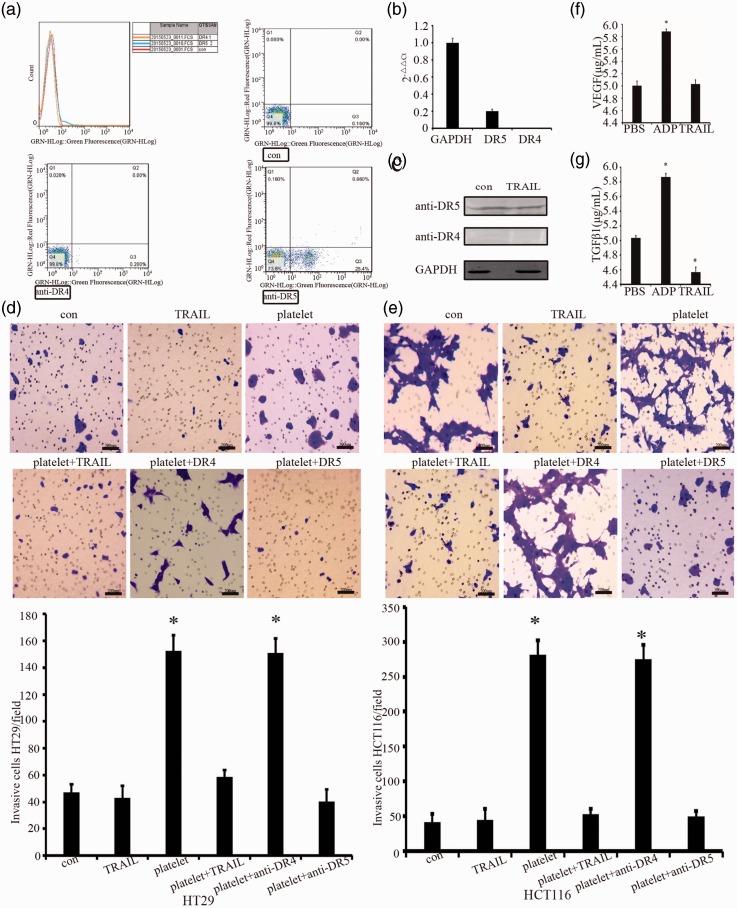 https://cdn.ncbi.nlm.nih.gov/pmc/blobs/fcb3/6381471/e62abfe73677/10.1177_0300060518820785-fig2.jpg