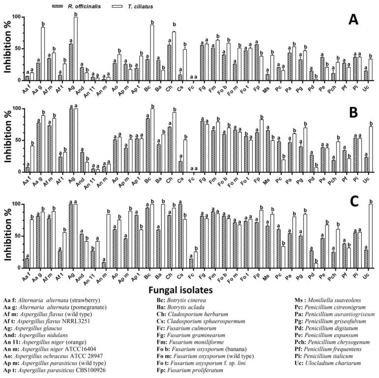 https://cdn.ncbi.nlm.nih.gov/pmc/blobs/fcb6/11276860/21691a047acf/ijms-25-07989-g005.jpg