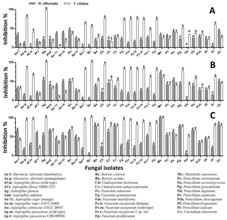 https://cdn.ncbi.nlm.nih.gov/pmc/blobs/fcb6/11276860/68d147abd1a8/ijms-25-07989-g004.jpg