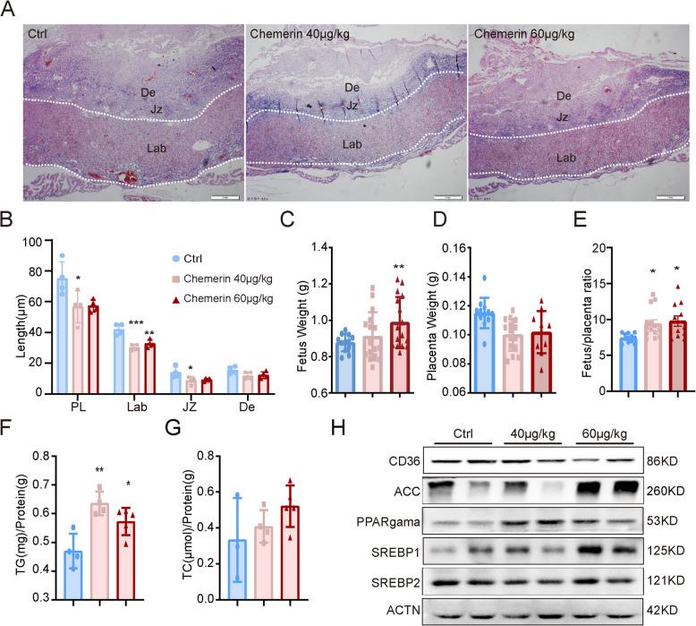 https://cdn.ncbi.nlm.nih.gov/pmc/blobs/fcb6/12226855/63e69699f660/12915_2025_2294_Fig2_HTML.jpg