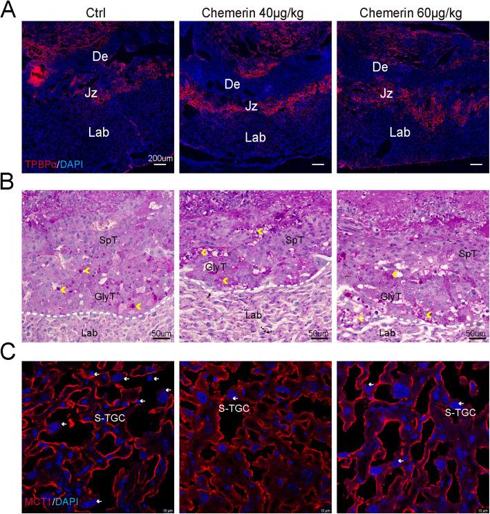 https://cdn.ncbi.nlm.nih.gov/pmc/blobs/fcb6/12226855/b8ee7ba6fa92/12915_2025_2294_Fig6_HTML.jpg